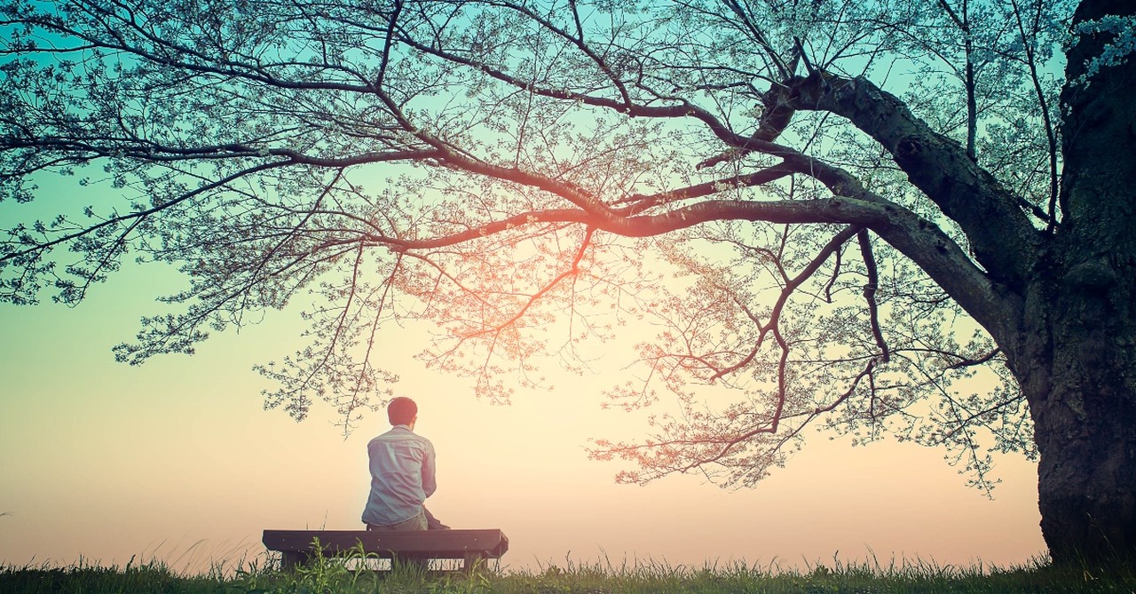 Man sitting on a bench under a tree