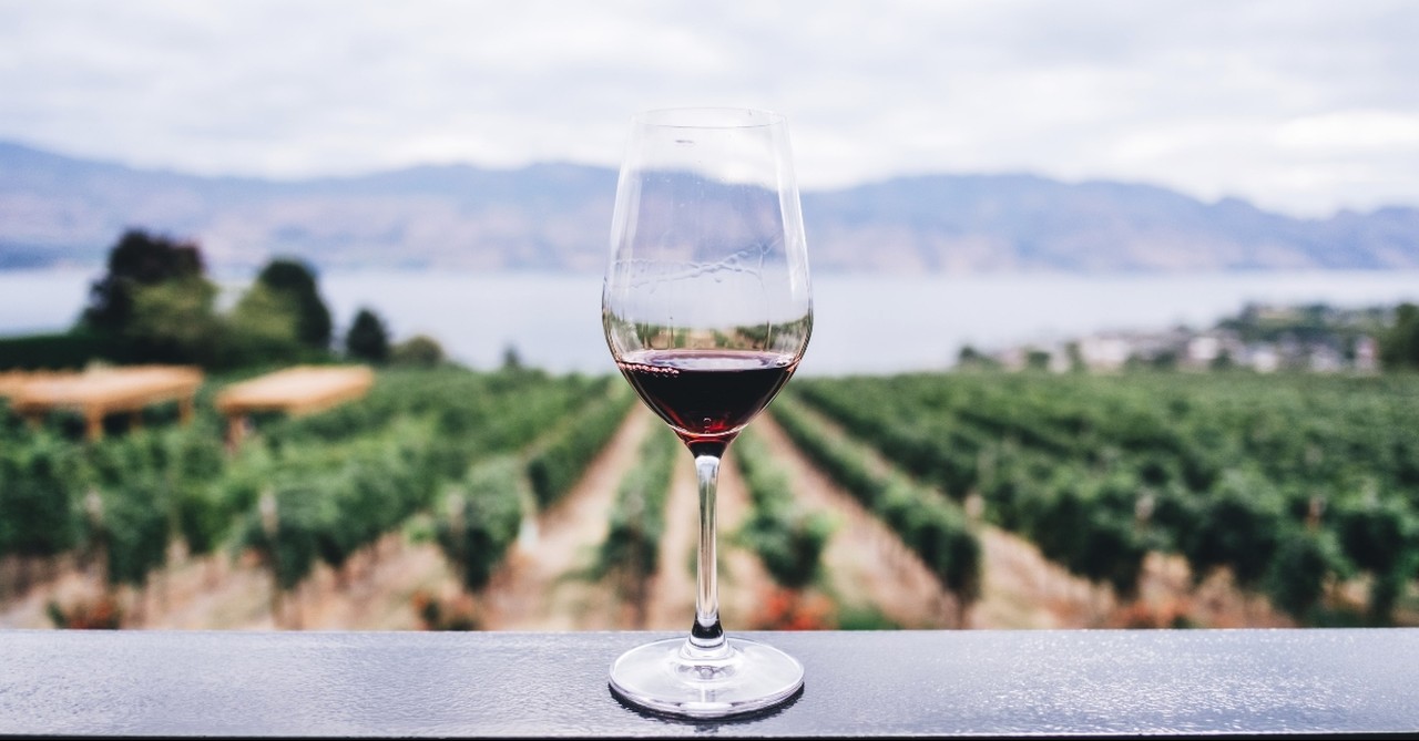 Glass of wine sitting on the edge of a vineyard