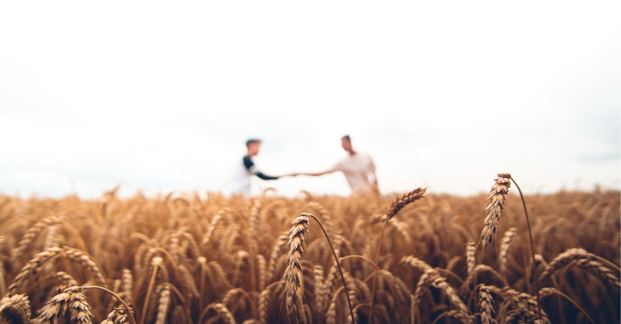 Two men in a wheat field, reaching across to shake hands