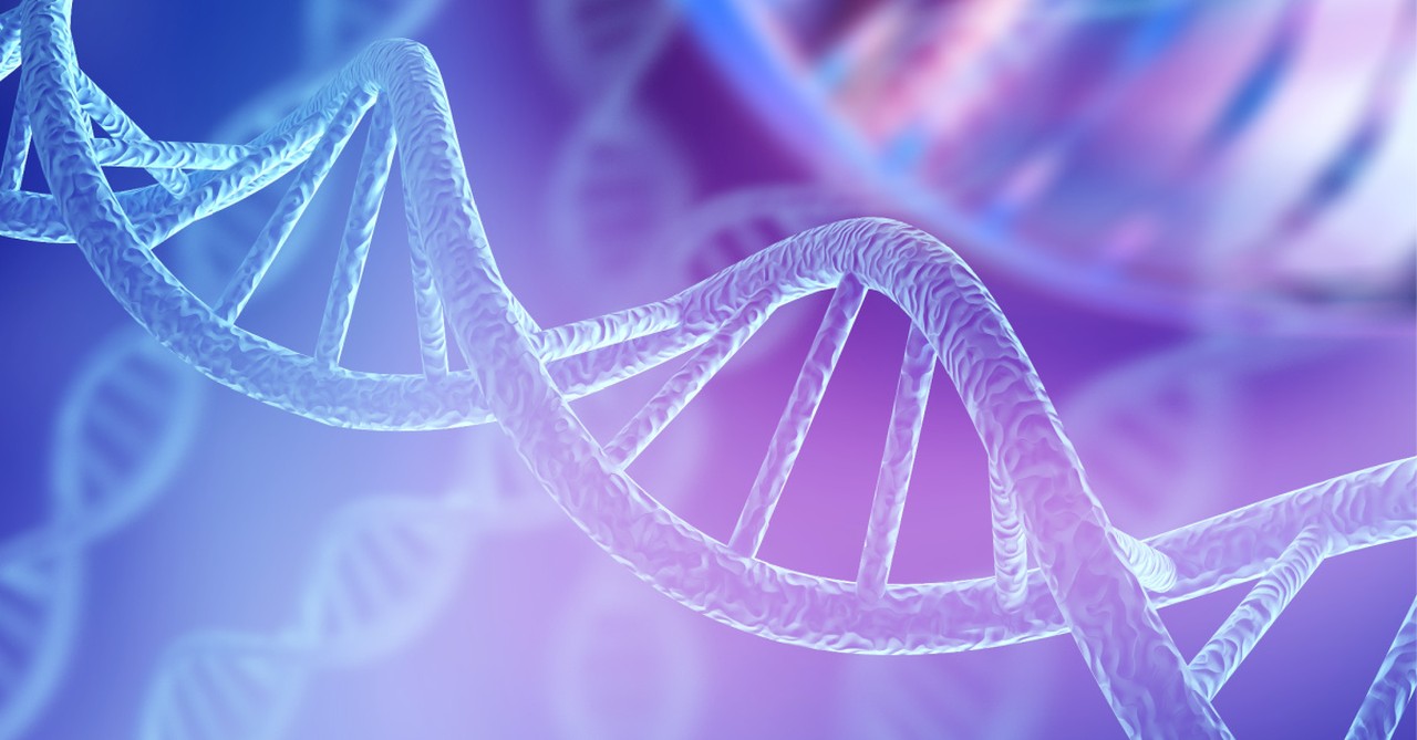 A DNA strand, scientist share evidence for creationism
