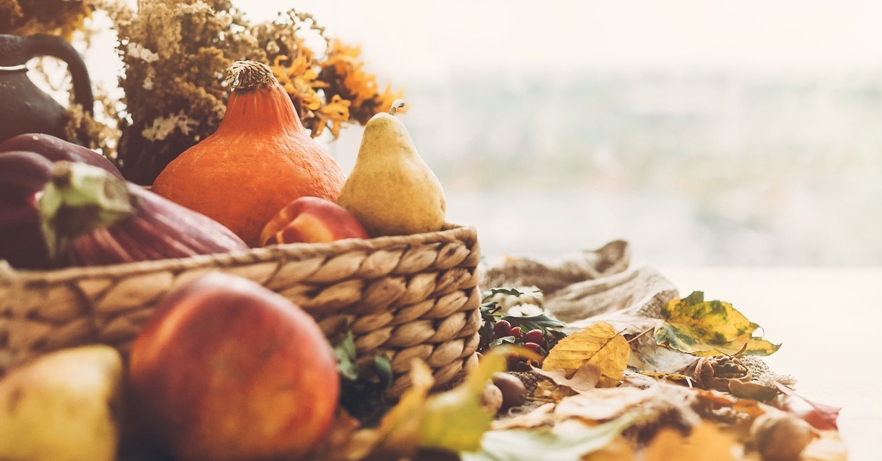 Basket of gourds and leaves