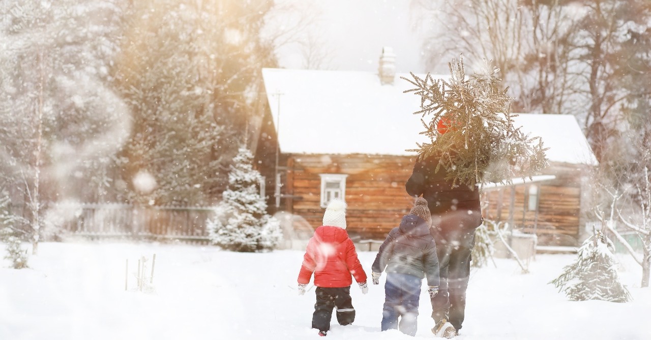 father and children carrying christmas tree to cabin in snow, old fashioned traditions