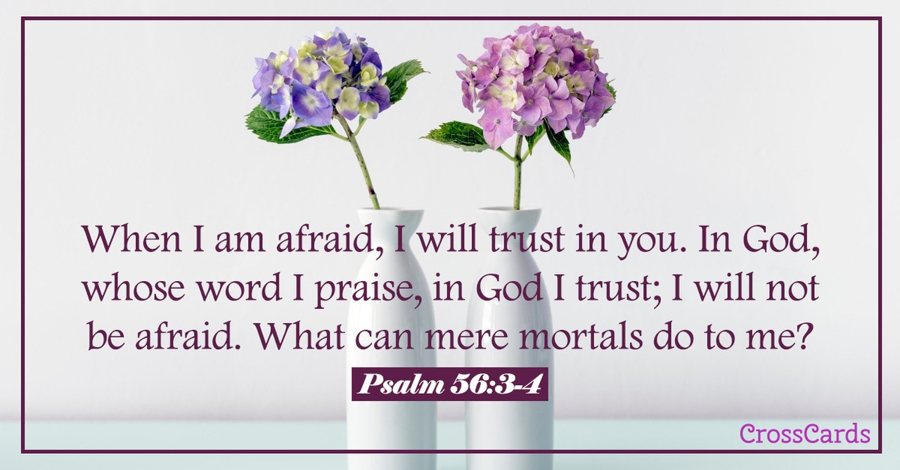 Psalm 56 text with hydrangea flowers in vases in background