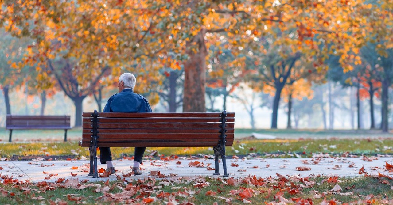 Older man sitting alone on a park bench