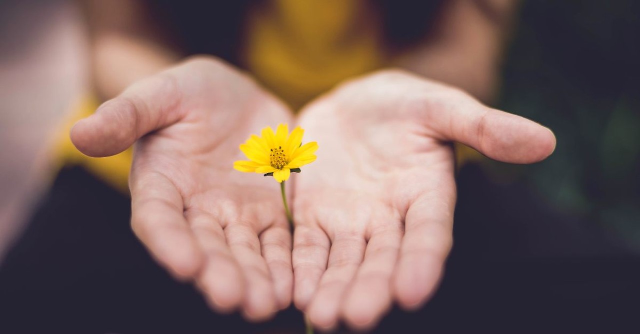 Yellow flower in the pal of a hand