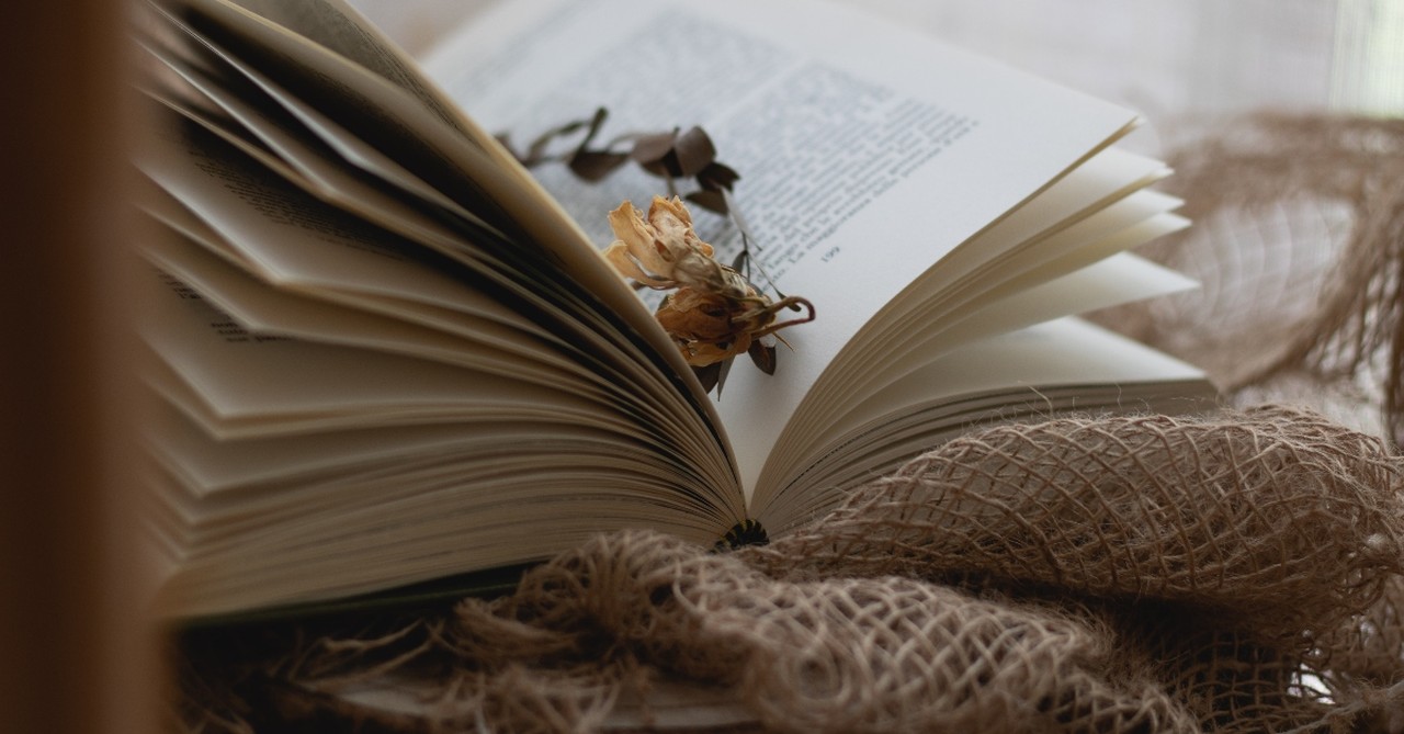 rustic scene of book with dried flower