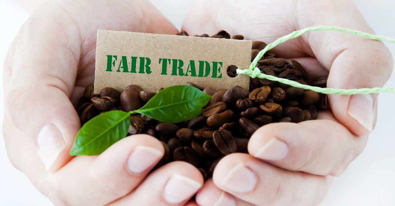 Fair trade coffee beans