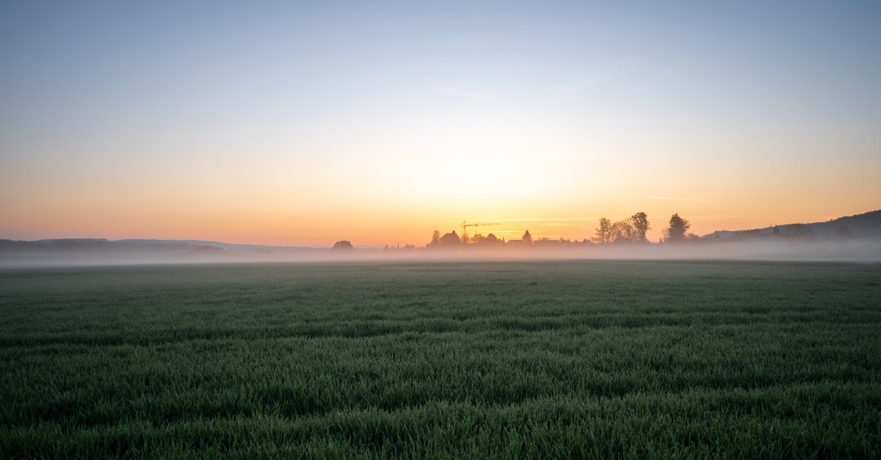 Misty, early morning sunrise