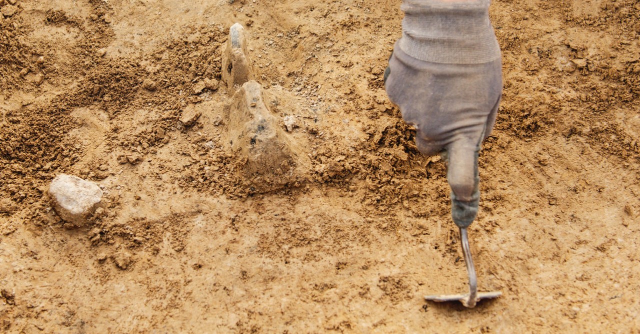 Archaeologist, archaeologists fine a Synagogue in Galilee