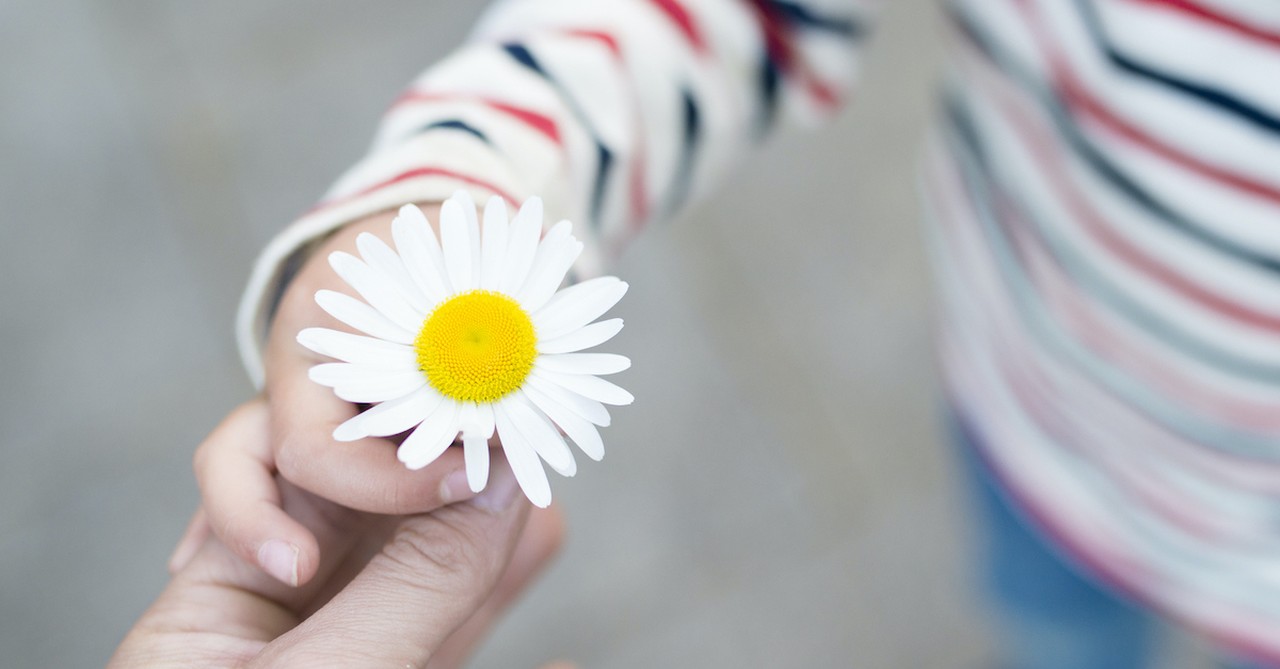 Child sharing flower to someone