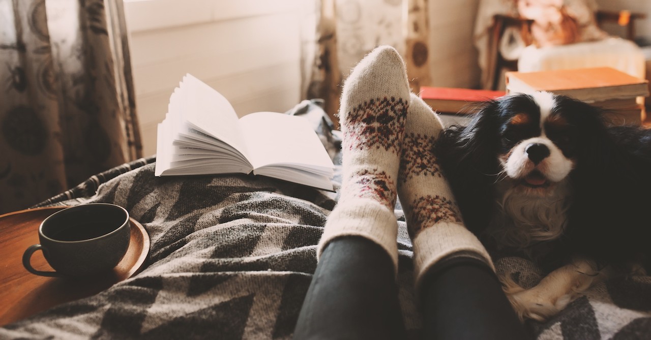 A woman wearing cozy socks, reading a book with a dog