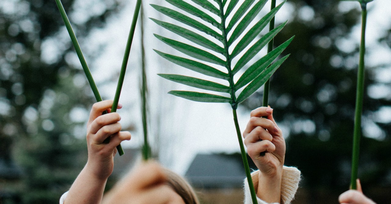 Hands holding up palm leaves, palm Sunday