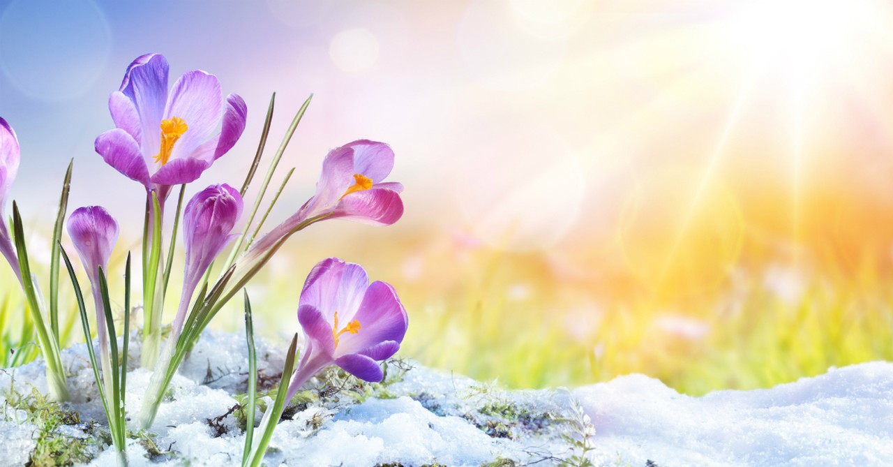 4. Easter’s Spring Setting Offers New Life Everywhere