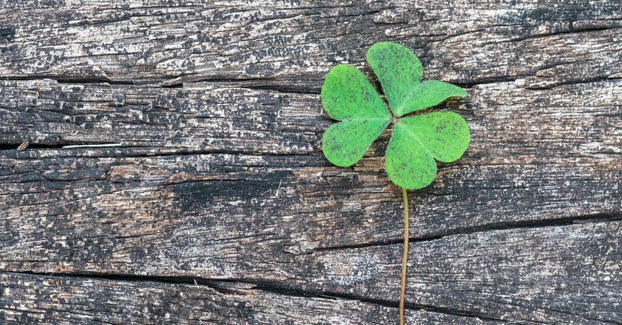 2. St. Patrick Used a Green Shamrock to Explain the Trinity