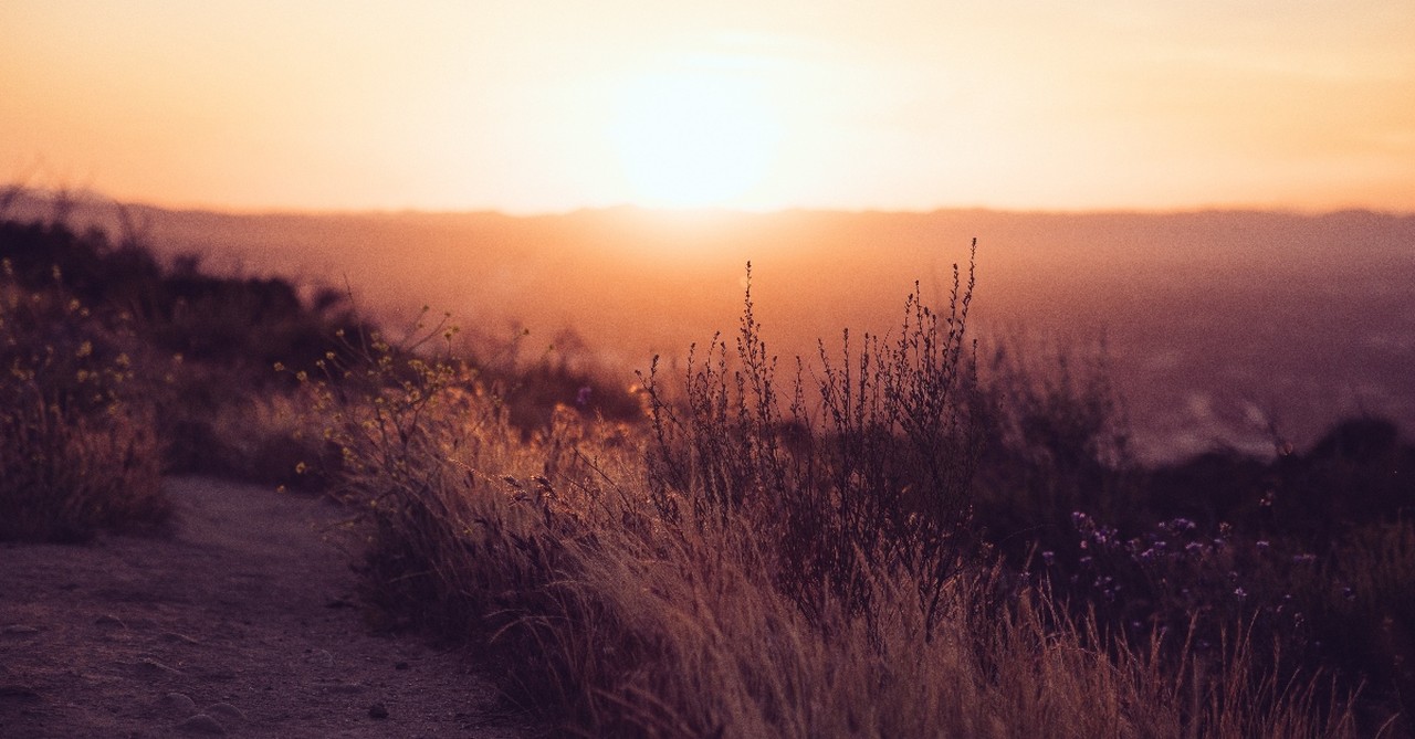 sunrise over field of flowers valley, songs to listen to when life is changing