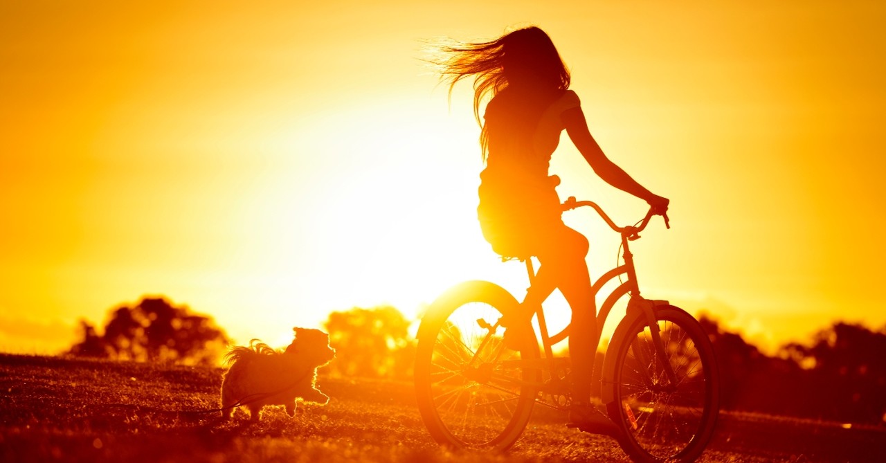 Woman on a bicycle at sunset with a small dog