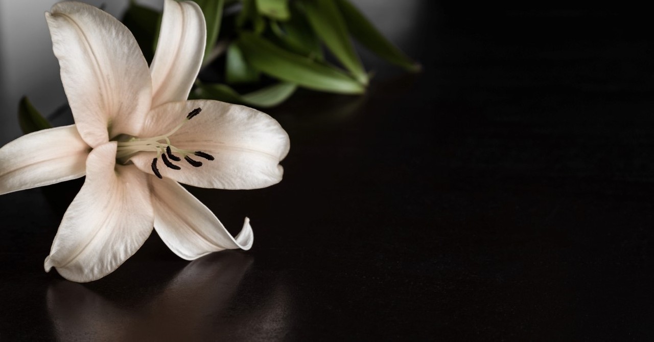 white lily on black tabletop, a grief observed by cs lewis