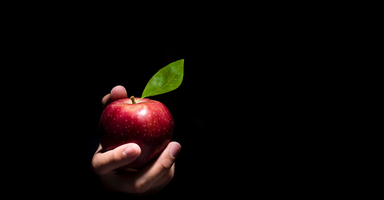 a person holding an apple, a sin we are all tempted to commit