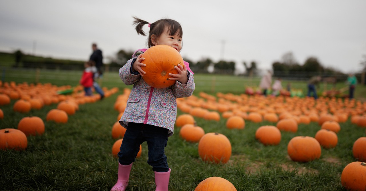 Cute girl at pumpkin patch in fall