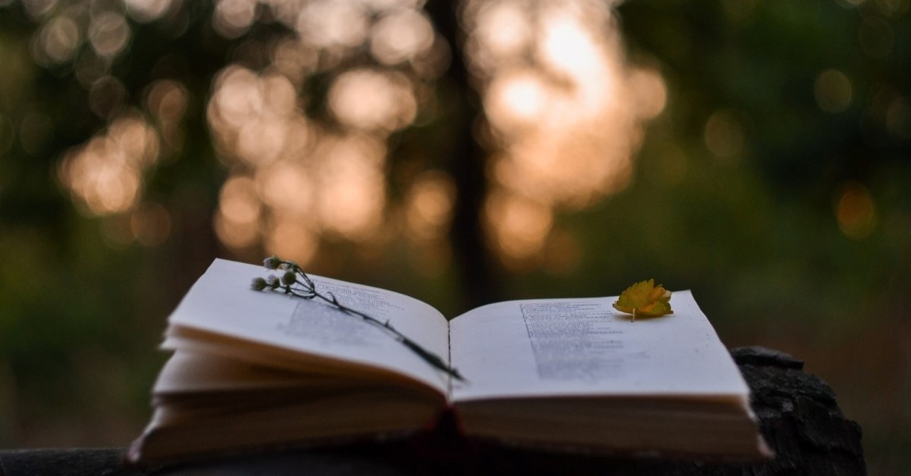 poetry book lying open with flower on it outside