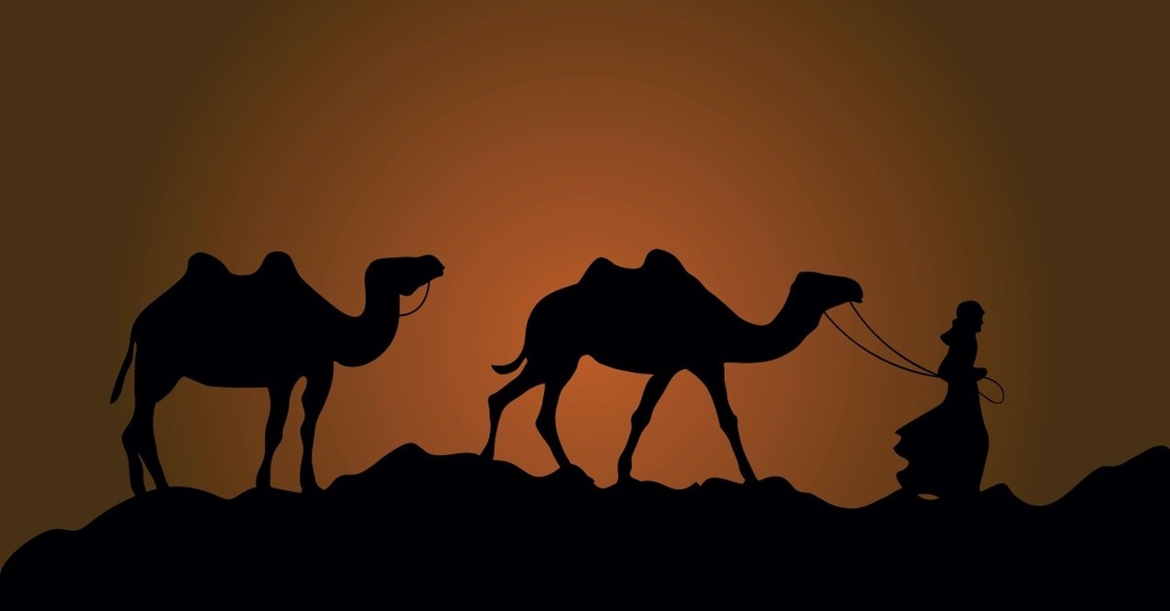 man carrying camels through desert, ephron