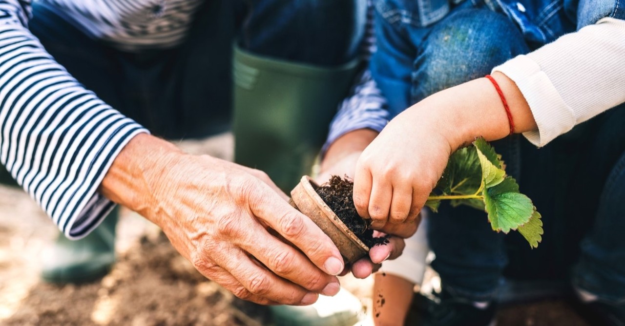 grandparent and granddaughter planting garden to illustrate ways to bless grandparents