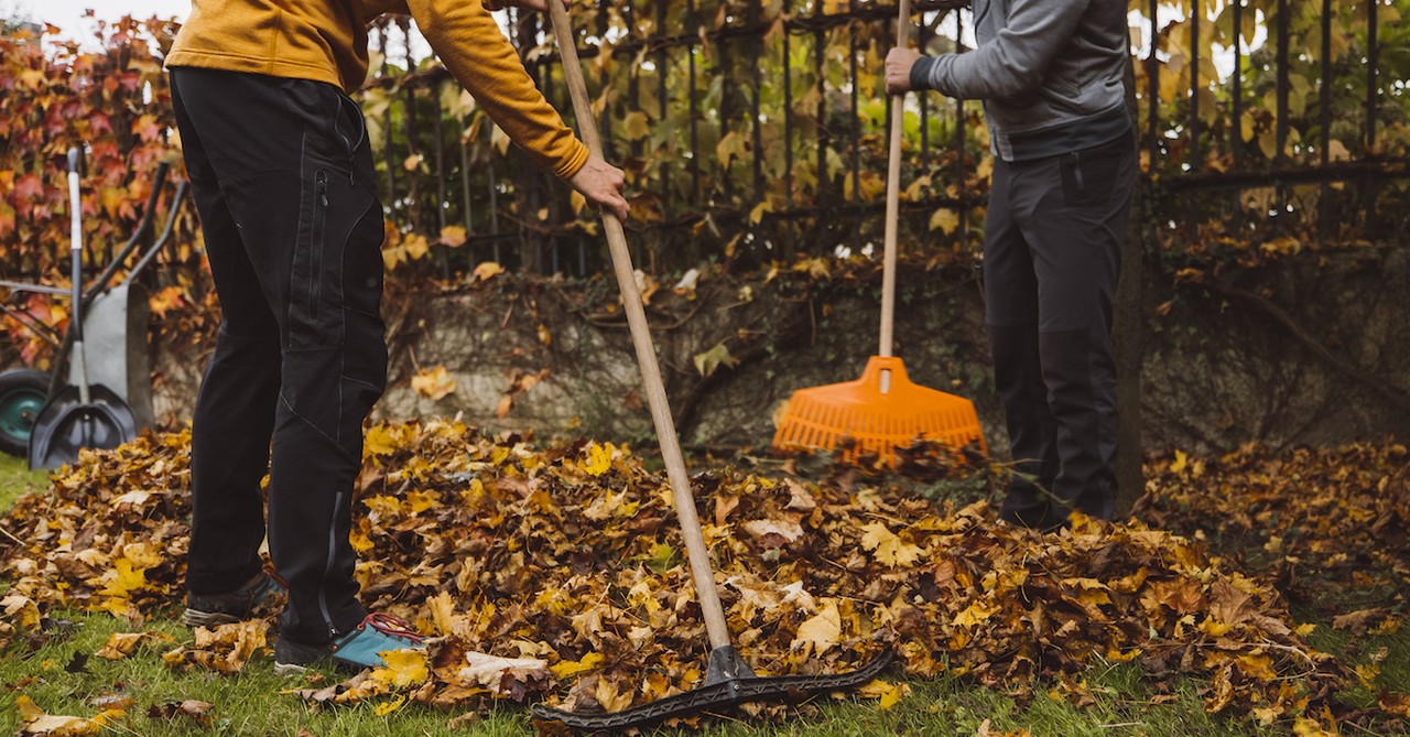 Fall raking leaves helping neighbor