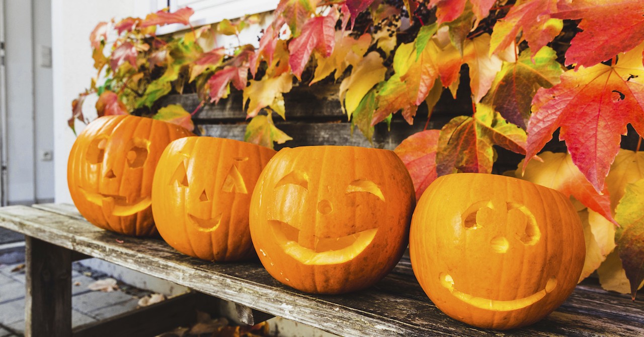 cute carved pumpkins in a row on bench outside house on halloween