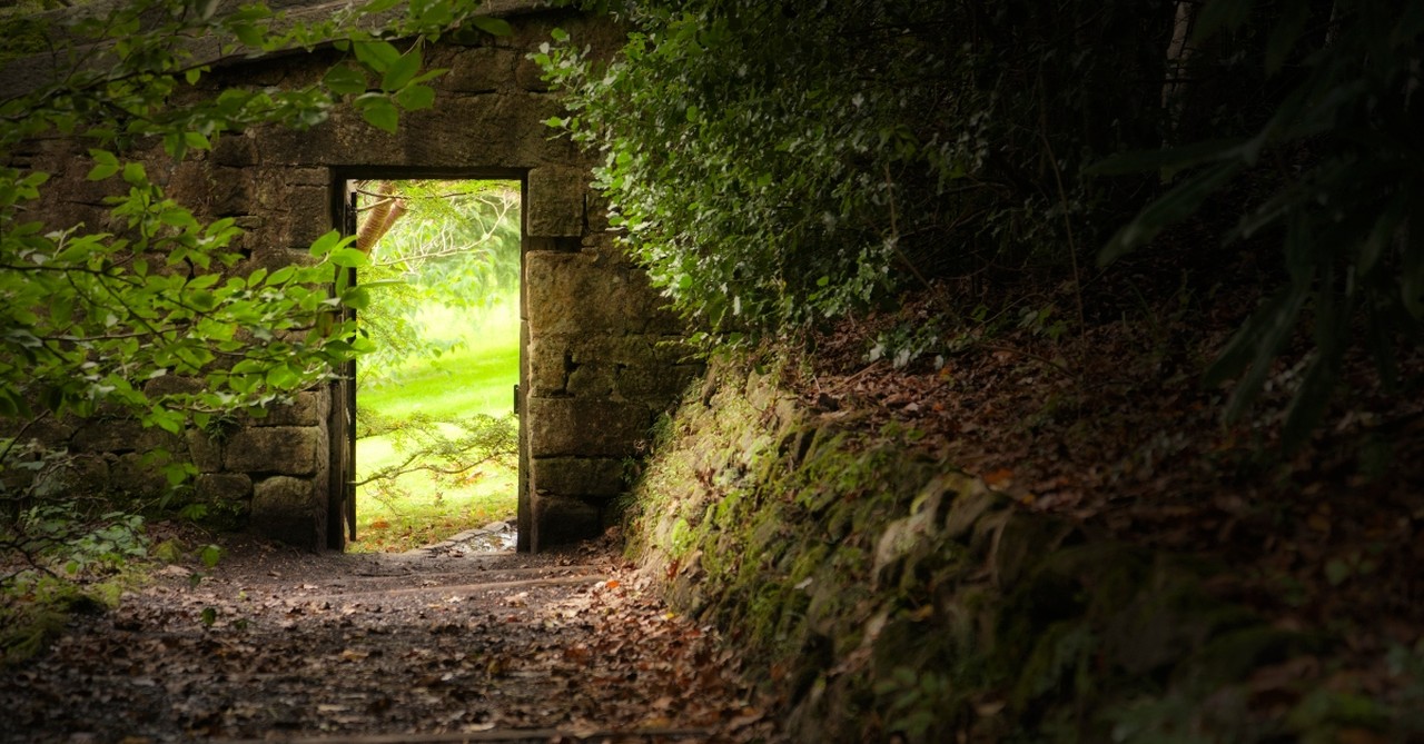 Gate in the woods