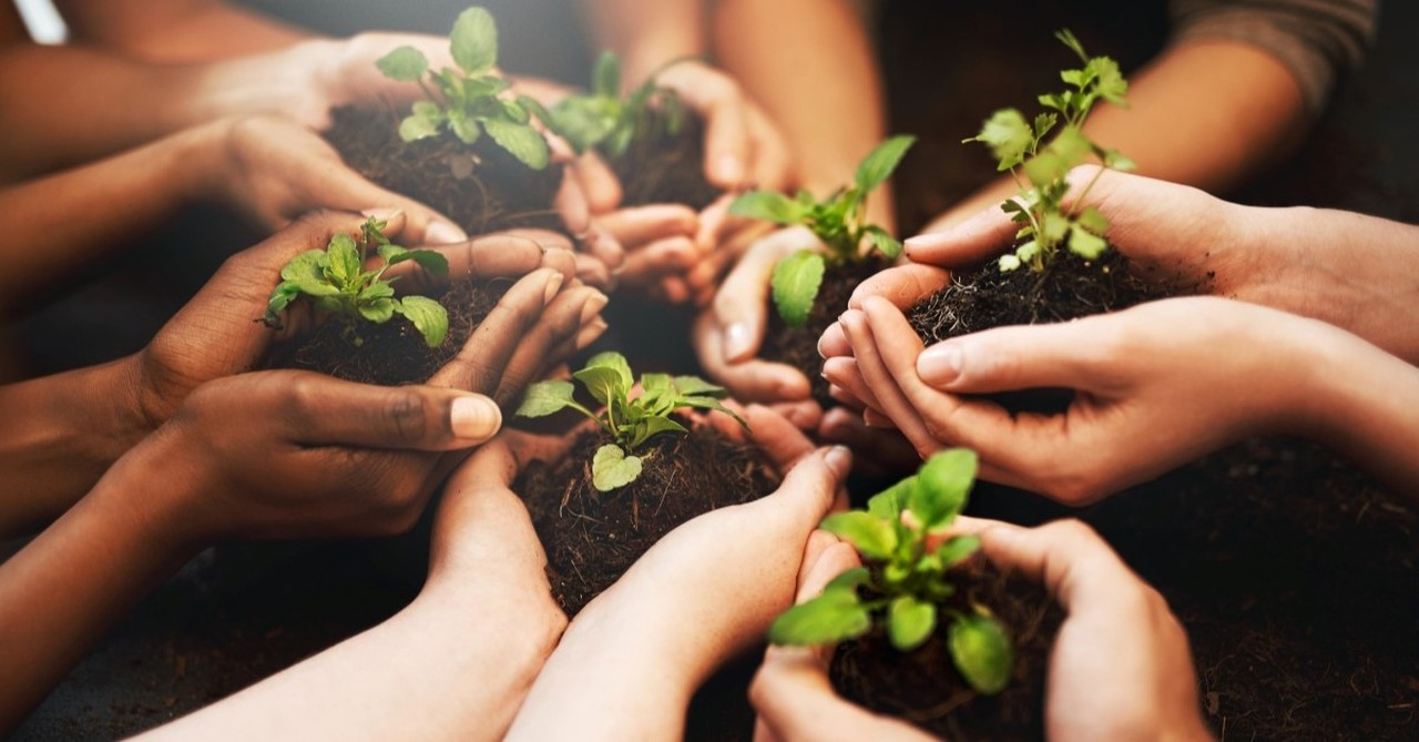 peoples hands holding young plants, earth day prayers