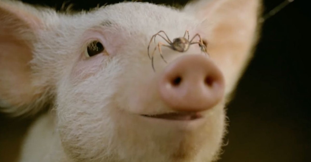 Charlotte's Web