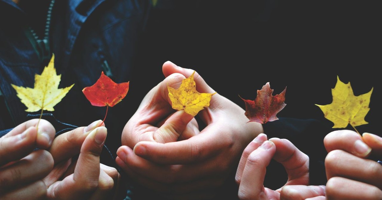 People holding leaves in autumn; dealing with grief in the Fall.