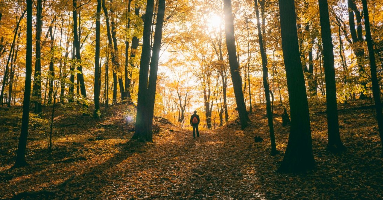 Man walking in the woods in Autumn; dealing with grief in the Fall.