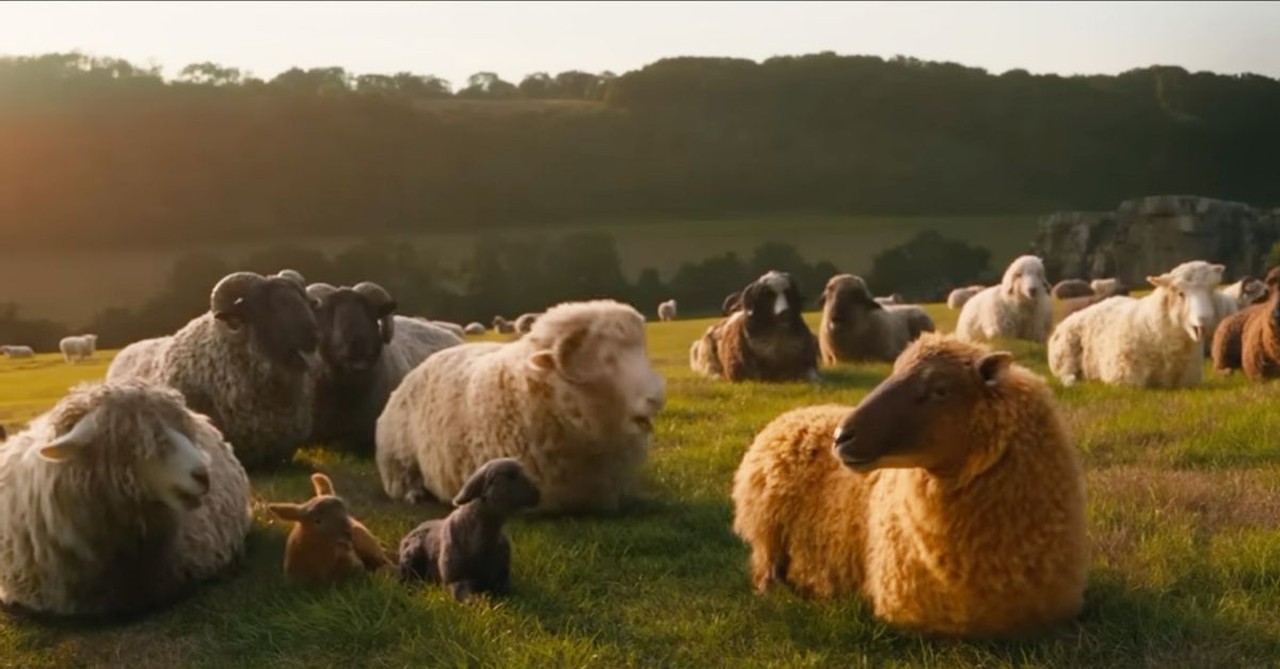 3 Reasons Families Will Love ‘The Sheep Detectives’