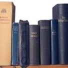 The 2008 Preaching Survey of Bibles and Bible References