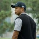 The Tiger (Woods) in You