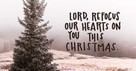 A Prayer to Stay Christ-Focused at Christmas - Your Daily Prayer - December 22