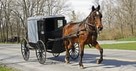 15 Things the Amish Can Teach Us about Family Life