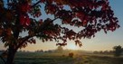 10 Beautiful Psalms for Autumn & Prayers for a New Season