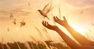 Come Holy Spirit—A Powerful Prayer to Welcome the Holy Spirit into Your Day