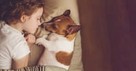 5 Lessons to Teach Children after the Loss of a Pet