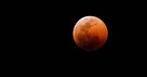 Pastor Says Donald Trump's Presidency and Blood Moons Are Connected