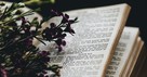 How Is "All of Scripture God-Breathed"?