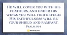 He Will Cover You with His Feathers (Psalm 91:4) - Your Daily Bible Verse - November 4