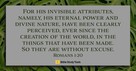 Finding God in Creation (Romans 1:19-20) - Your Daily Bible Verse - November 18