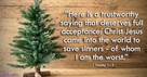 Finding the Perfect Christmas Tree - iBelieve Truth: A Devotional for Women - December 20