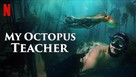 <em>My Octopus Teacher</em> and the God-Shaped Hole in Every Human Heart