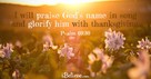 A Prayer of Praise and Gratitude - Your Daily Prayer - February 21