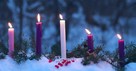 Show Your Joy to the World - Advent Devotional - Dec. 7