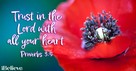 A Prayer to Forsake Following Your Heart - Your Daily Prayer - July 29